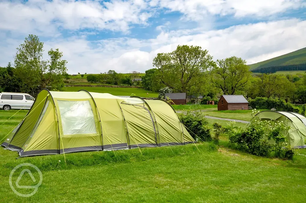 Grass pitches