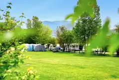 Electric grass pitches with 6 amp hook ups