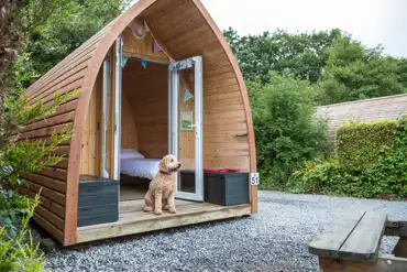 Dog friendly hideaway lodge