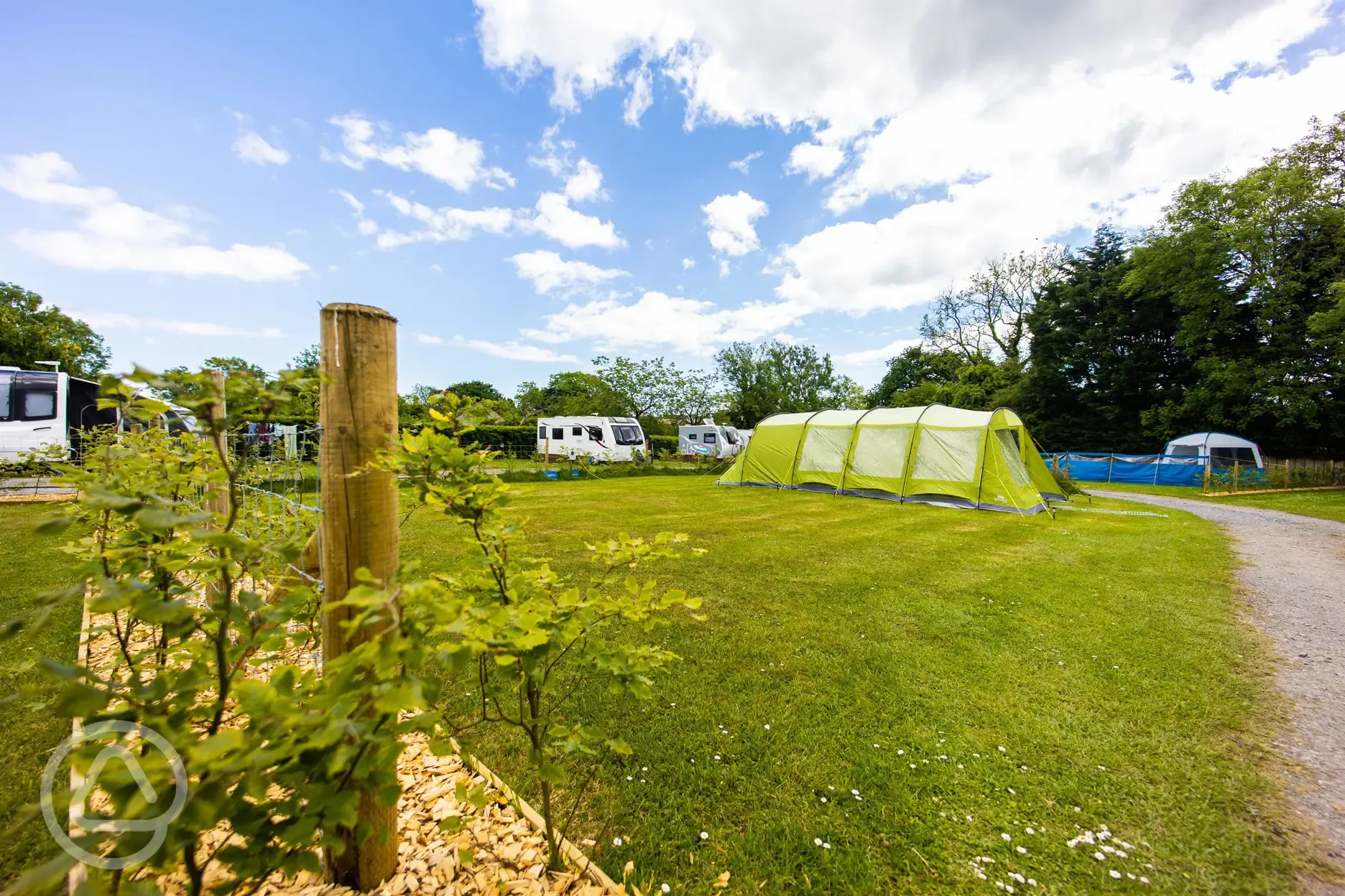 Electric grass pitches