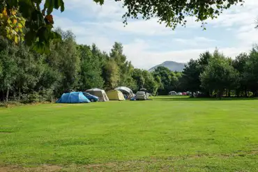 Elwyns Camping Field