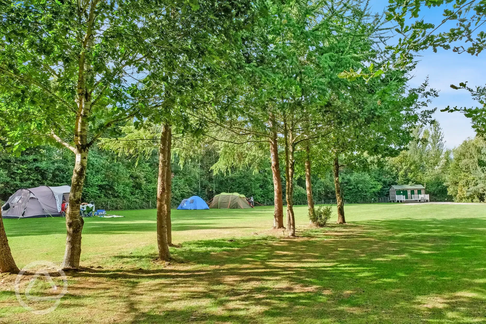 Electric grass pitches, surrounded by trees