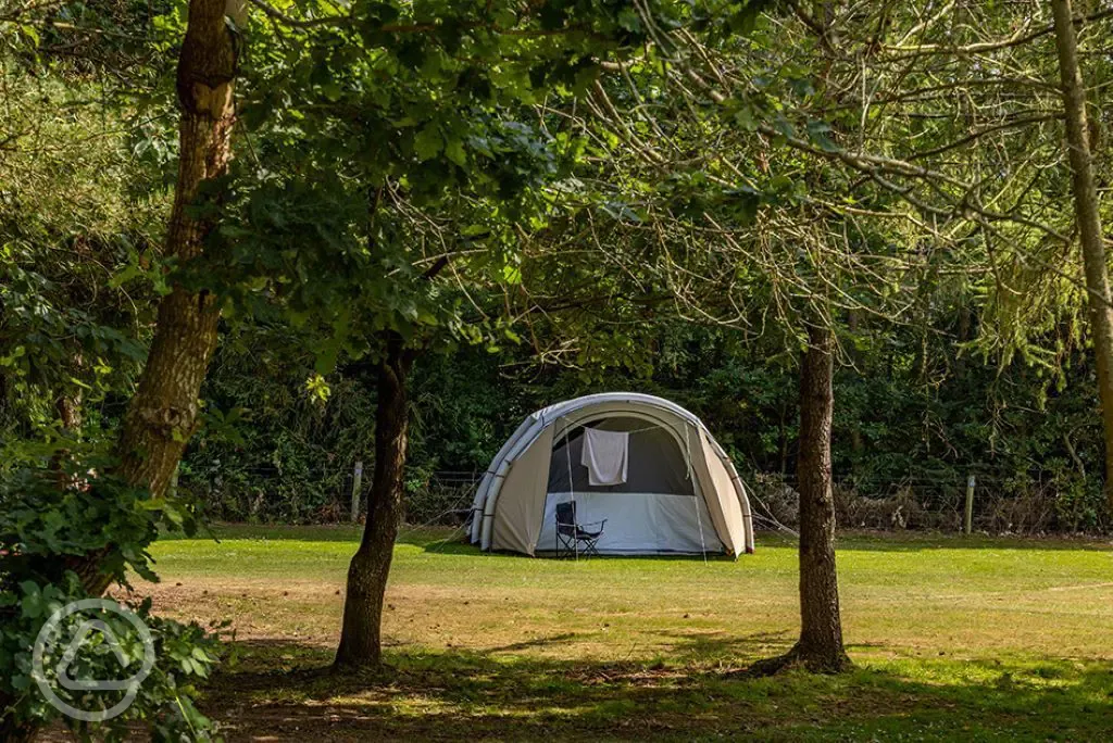 Secluded grass pitches at Lakeside Caravan Park