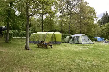 camping field