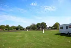 Electric grass pitches Electric grass pitches