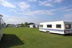 Electric grass pitches Electric grass pitches