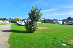 Electric grass pitches (6.7m x 7.3m) with a 16 amp hook up Electric grass pitches (6.7m x 7.3m) with a 16 amp hook up