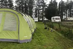 Electric tent pitches