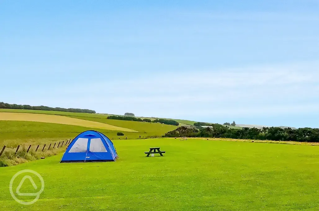 A small tent on an electric bivvy tent grass pitch with a picnic table nearby A small tent on an electric bivvy tent grass pitch with a picnic table nearby