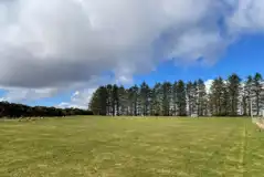 Electric tent pitches