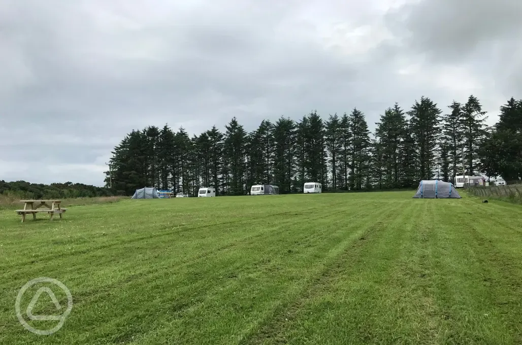 Electric grass touring and tent pitches