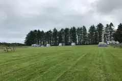 Electric grass touring and tent pitches