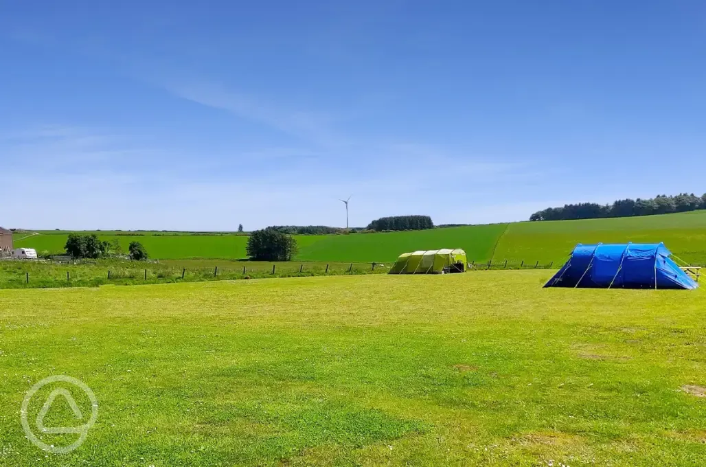 Electric tent pitches