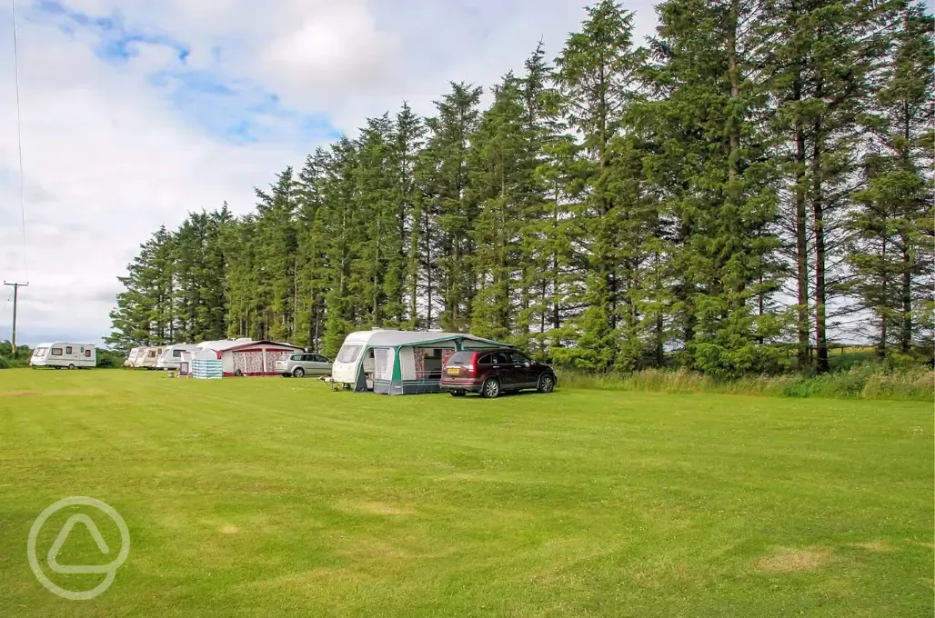 Electric grass touring pitches (parking beside pitch)