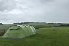 Electric tent pitches