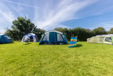 Grass pitches (optional electric) at Court Farm Campsite