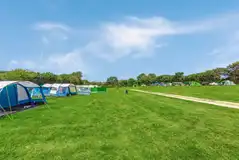 Grass pitches (optional electric)