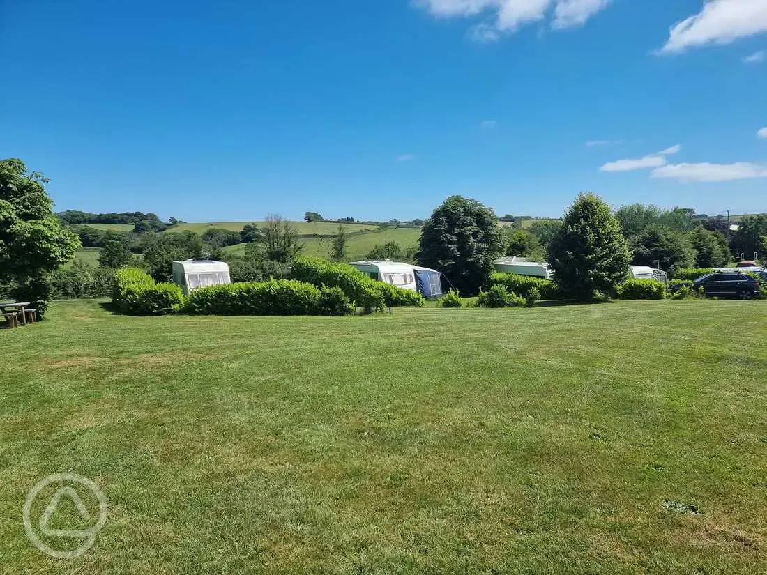 Electric grass pitches (orchard meadow)