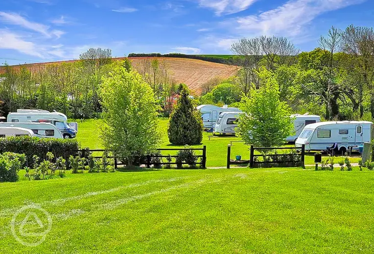 Electric grass pitches (orchard meadow)