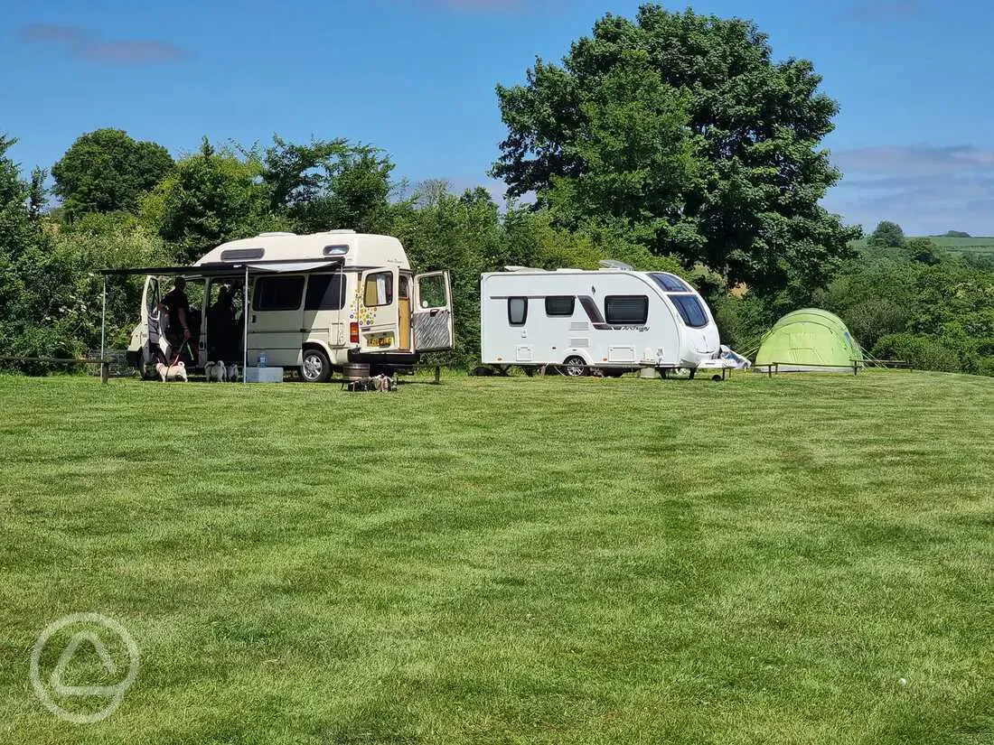 Electric grass pitches (orchard meadow)