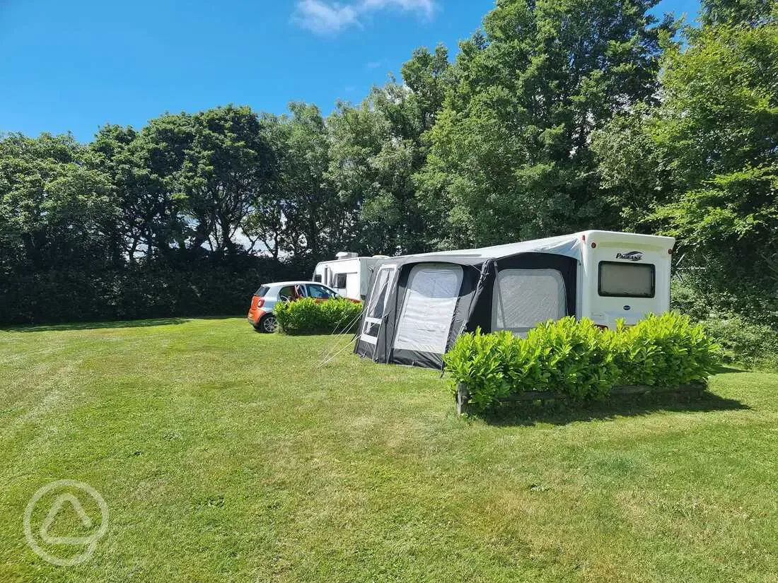 Electric grass pitches (orchard meadow)