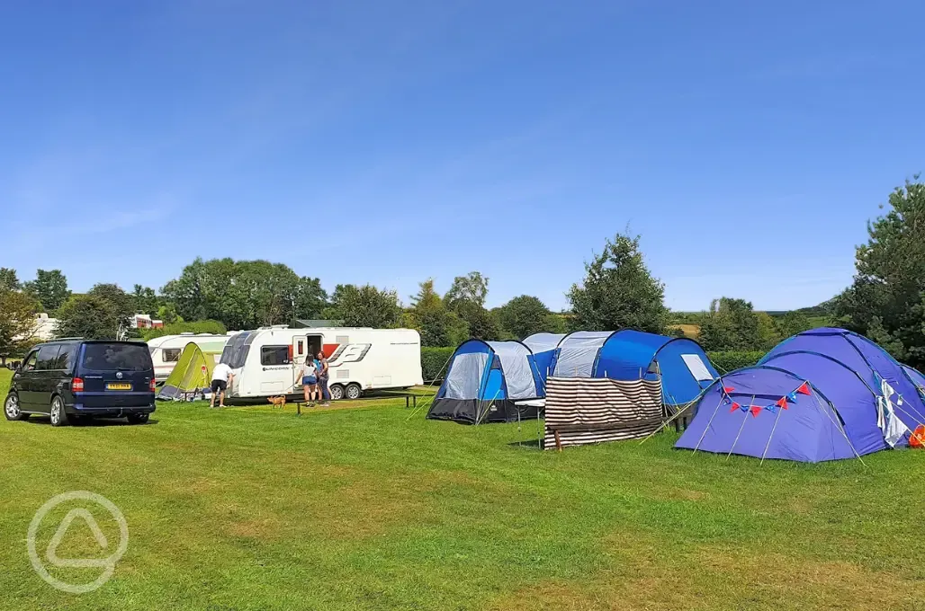 Grass pitches