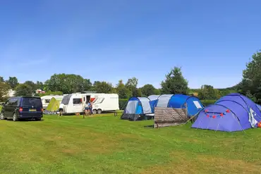 Grass pitches