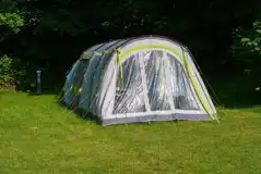 Electric grass pitches Electric grass pitches