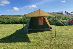 Grass pitches