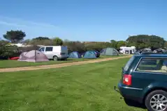 Grass pitches