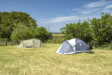 Grass pitches in the bottom field at Trevaylor Caravan and Camping Park