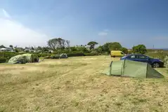 Grass pitches on the bottom camping field