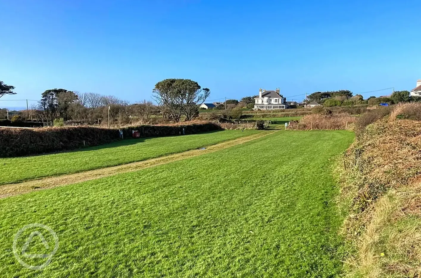 Grass pitches
