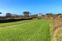 Grass pitches