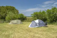 Non electric grass pitches in the bottom field