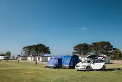 Electric grass tent pitches