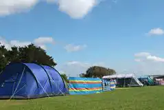 Electric grass tent pitches