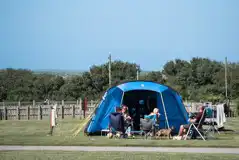 Electric grass tent pitches