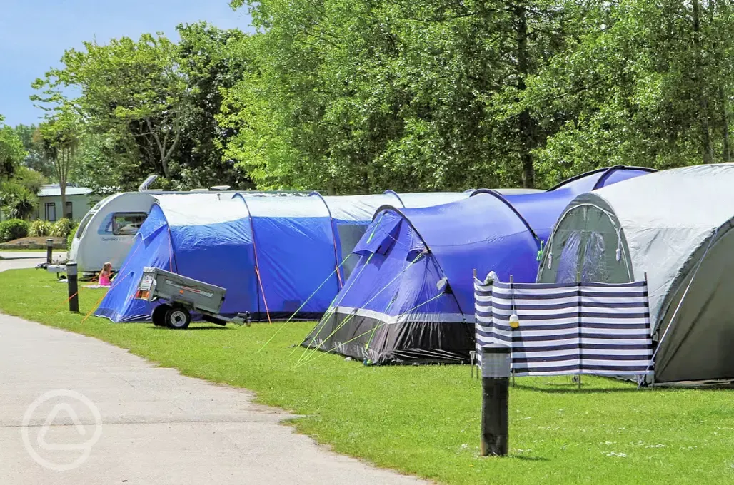 Grass pitches with tents