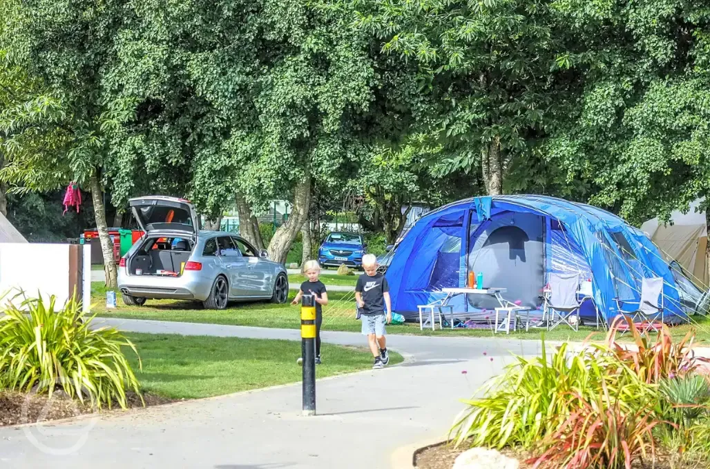 Grass pitches with tents