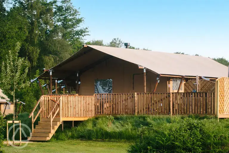 Safari tent