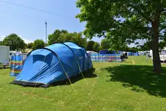 Electric grass tent pitches (10m x 9m) with 16 amp hook ups
