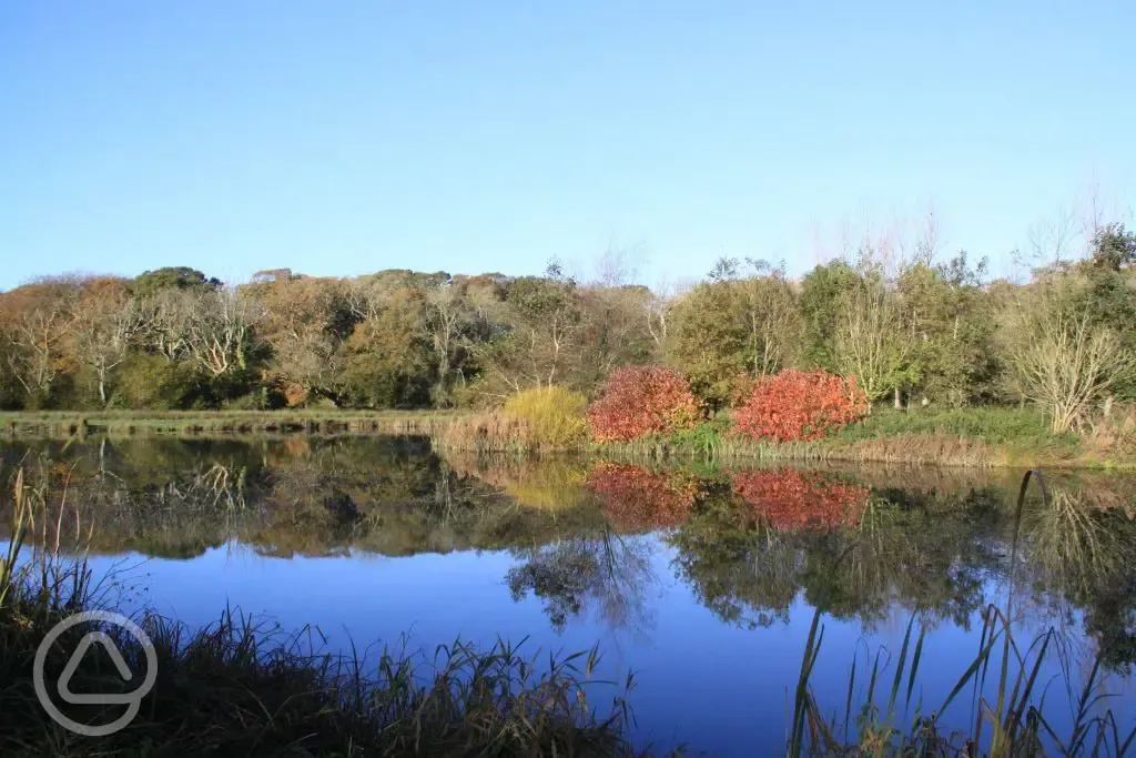 Fishing lake, just under five minutes from Rosewall Camping