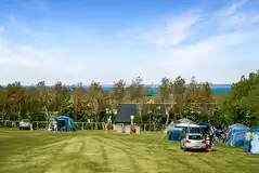 Grass tent pitches