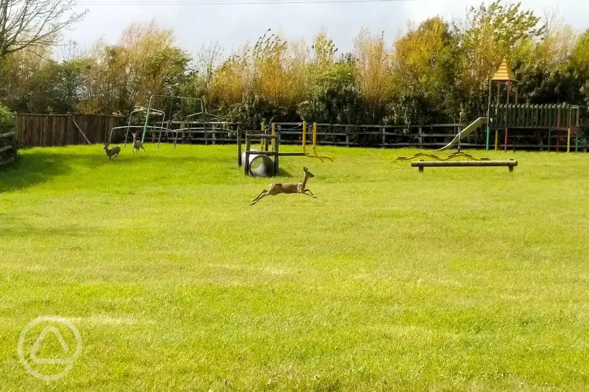 Children's play area (with visiting wildlife) Children's play area (with visiting wildlife)