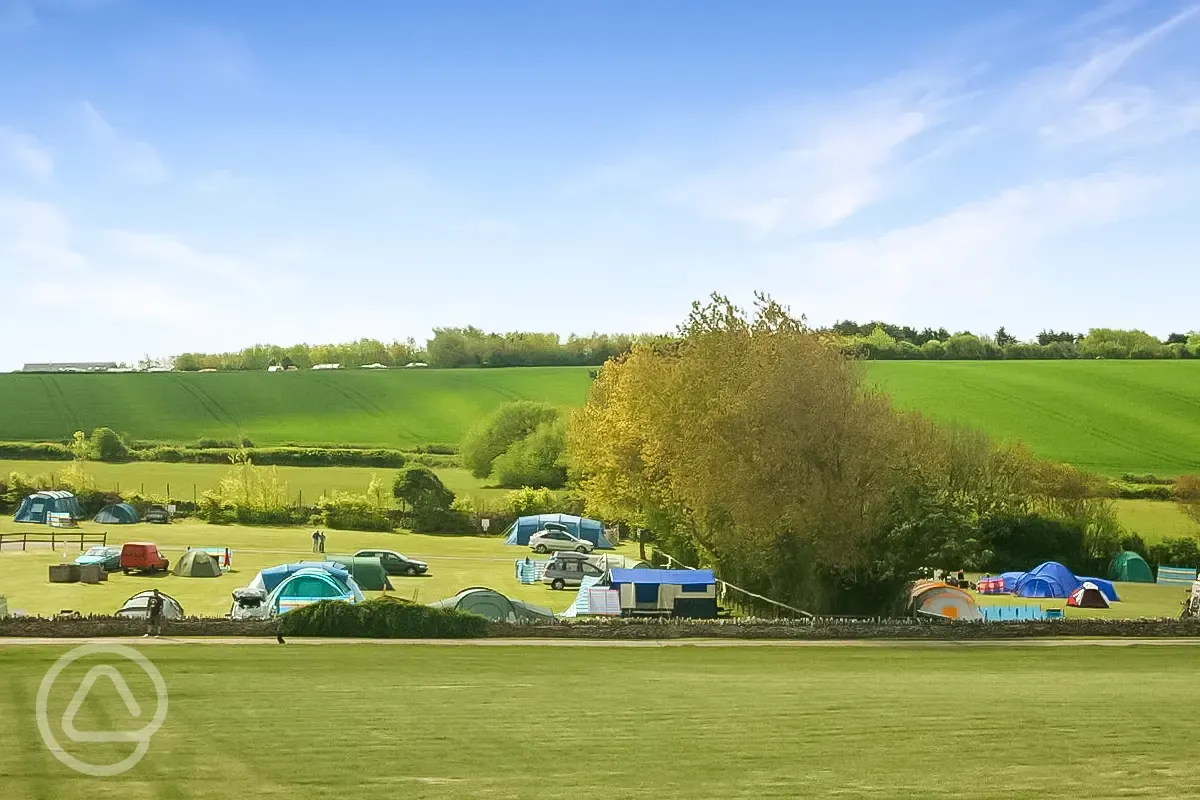 Grass pitches Grass pitches
