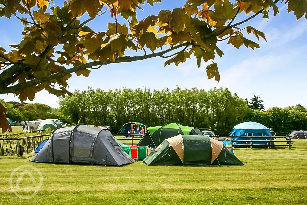 Fleet farm clearance tents