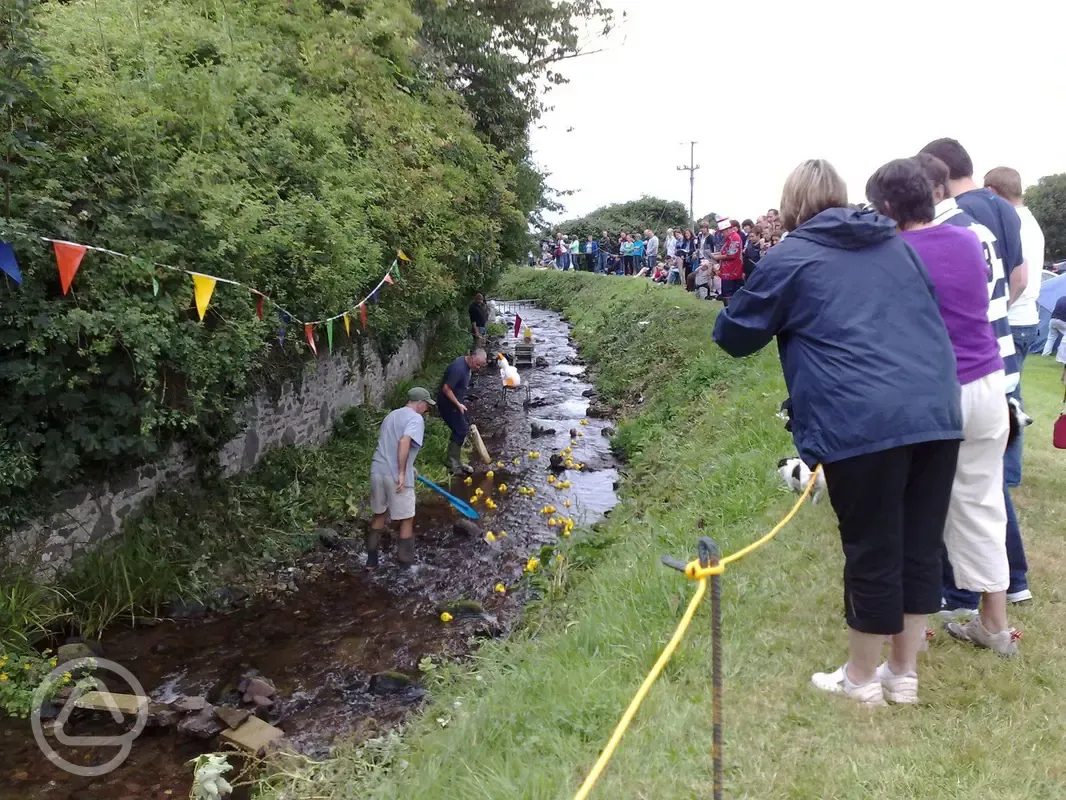 Duck race in the river at Sparkhayes Farm