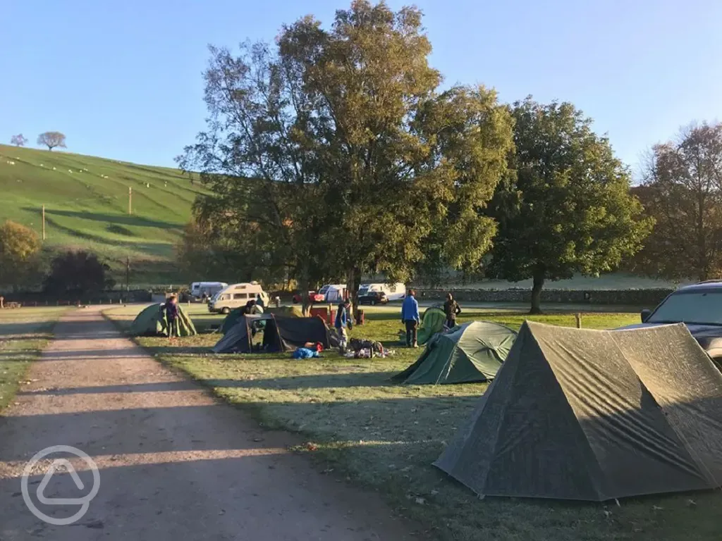 Tents at Masons Campsite