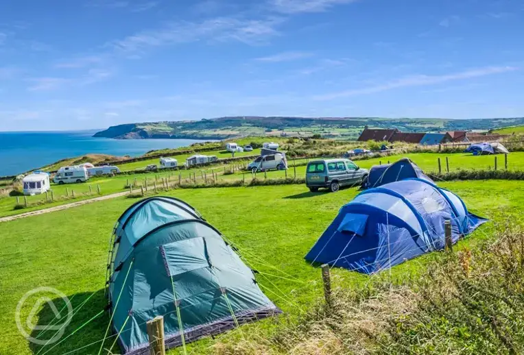 Non electric grass pitches with sea views